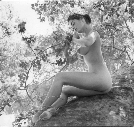 Vintage pornstar with nice big tits poses naked and in hot pantyhose