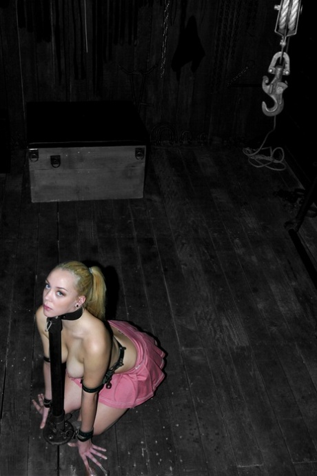 Device Bondage starring Annette Schwarz Nude Photos